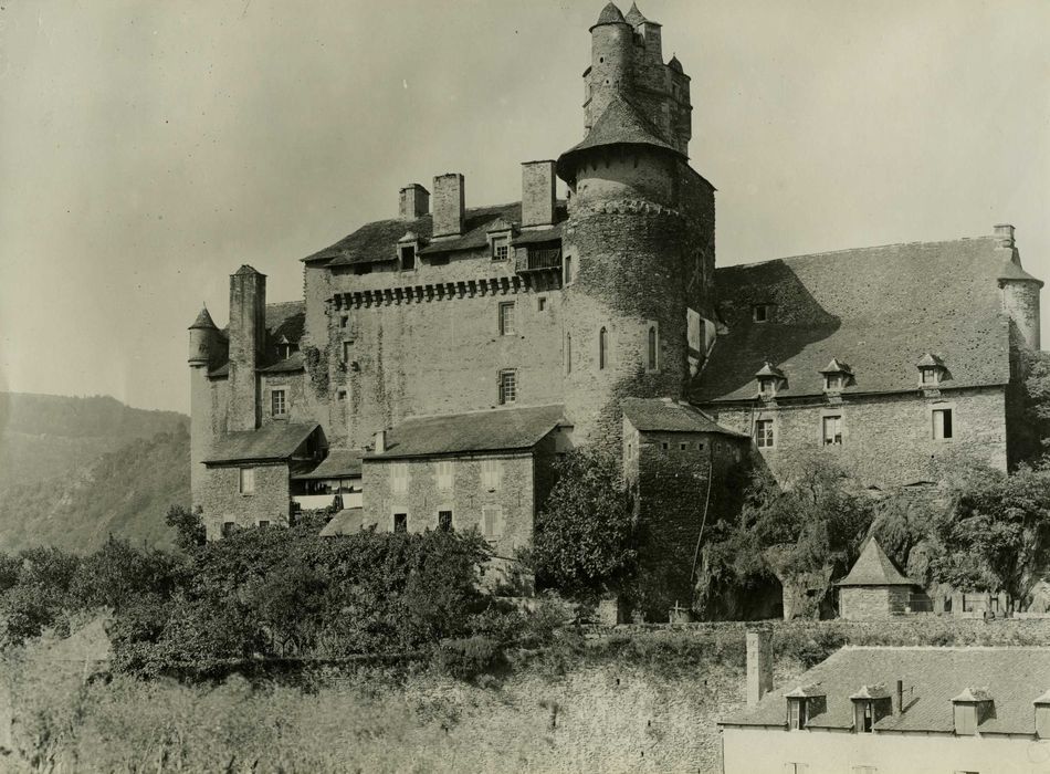 vue générale du château dans son environnement depuis l’Est