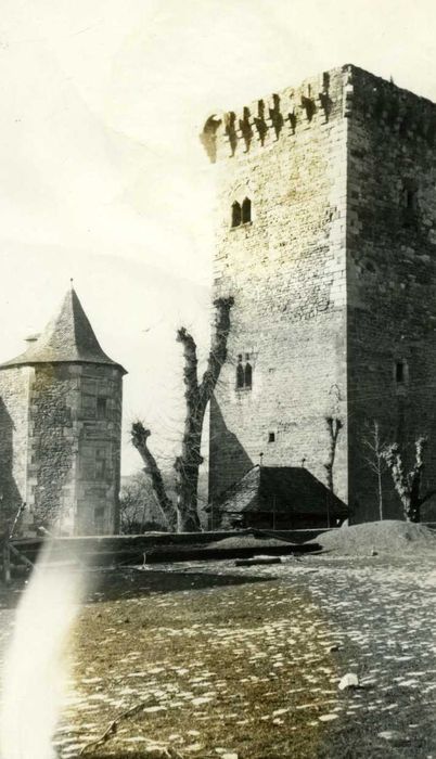 donjon, élévations nord et est, vue générale