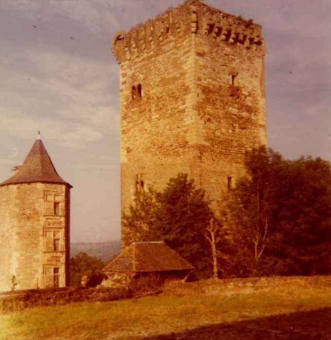 donjon, élévations nord et est, vue générale