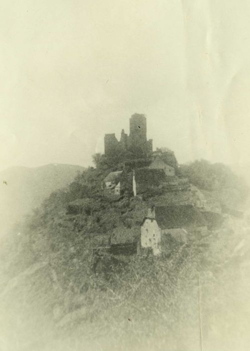 vue générale du château dans son environnement depuis le Sud-Ouest