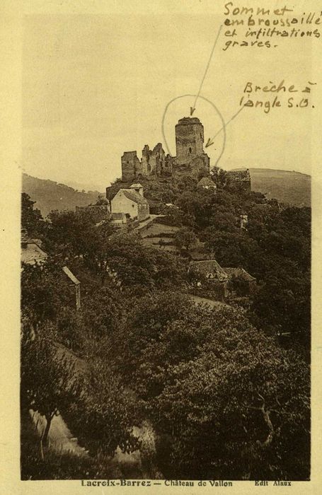 vue générale du château dans son environnement depuis le Sud-Ouest