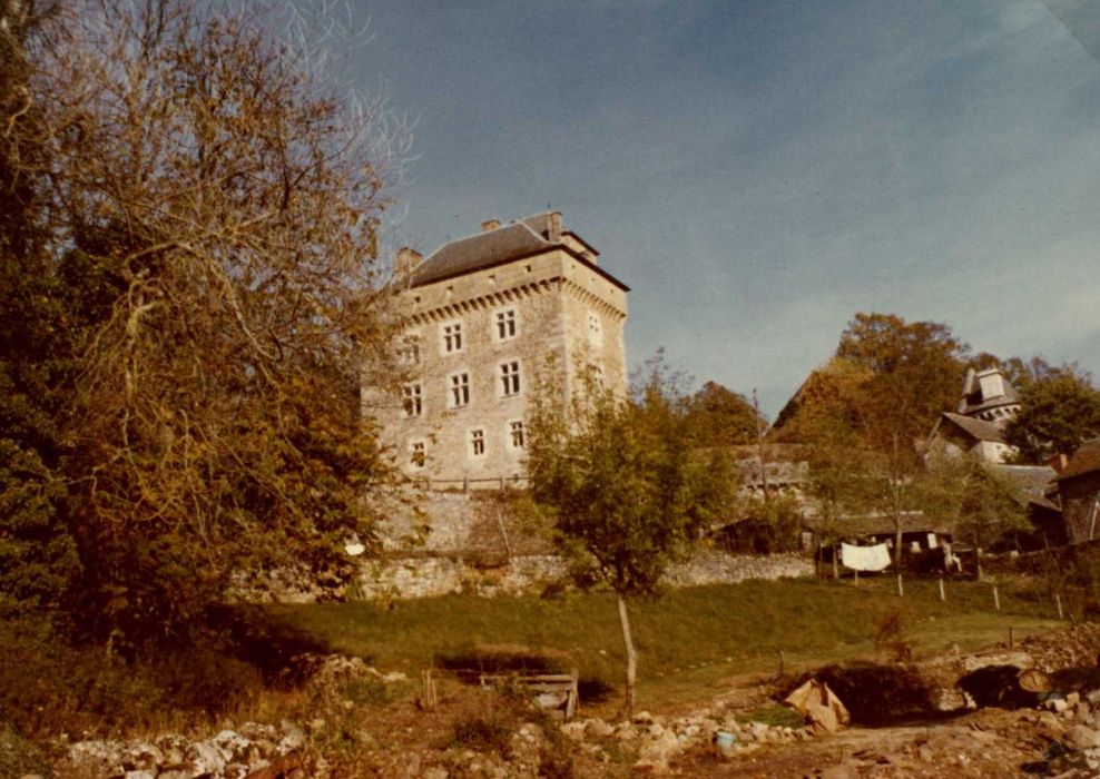 vue générale du château dans son environnement depuis le Sud-Ouest