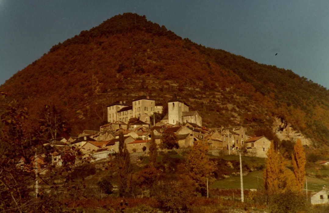 vue générale du château dans son environnement depuis le Sud-Est