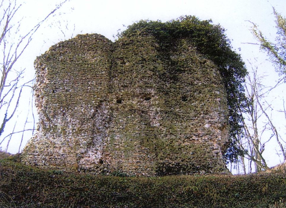 vue partielle des ruines (photocopie numérisée)