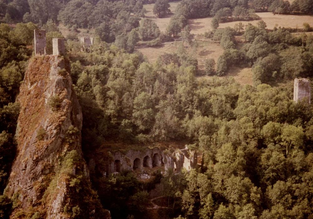 vue générale des ruines dans leur environnement