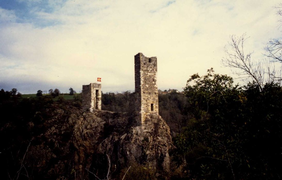 vue générale des ruines dans leur environnement