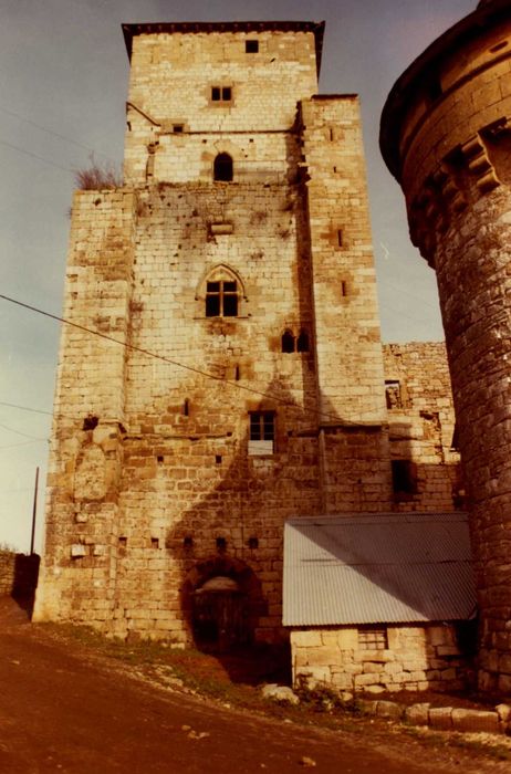 donjon, élévation sud, vue générale