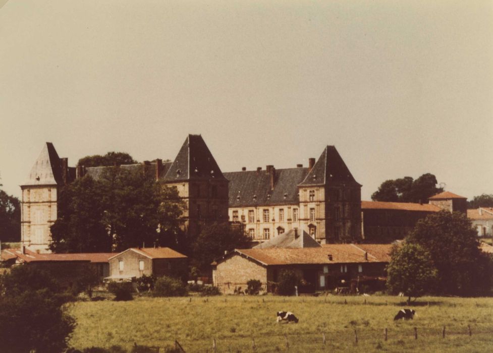 vue générale du château dans son environnement depuis le Sud