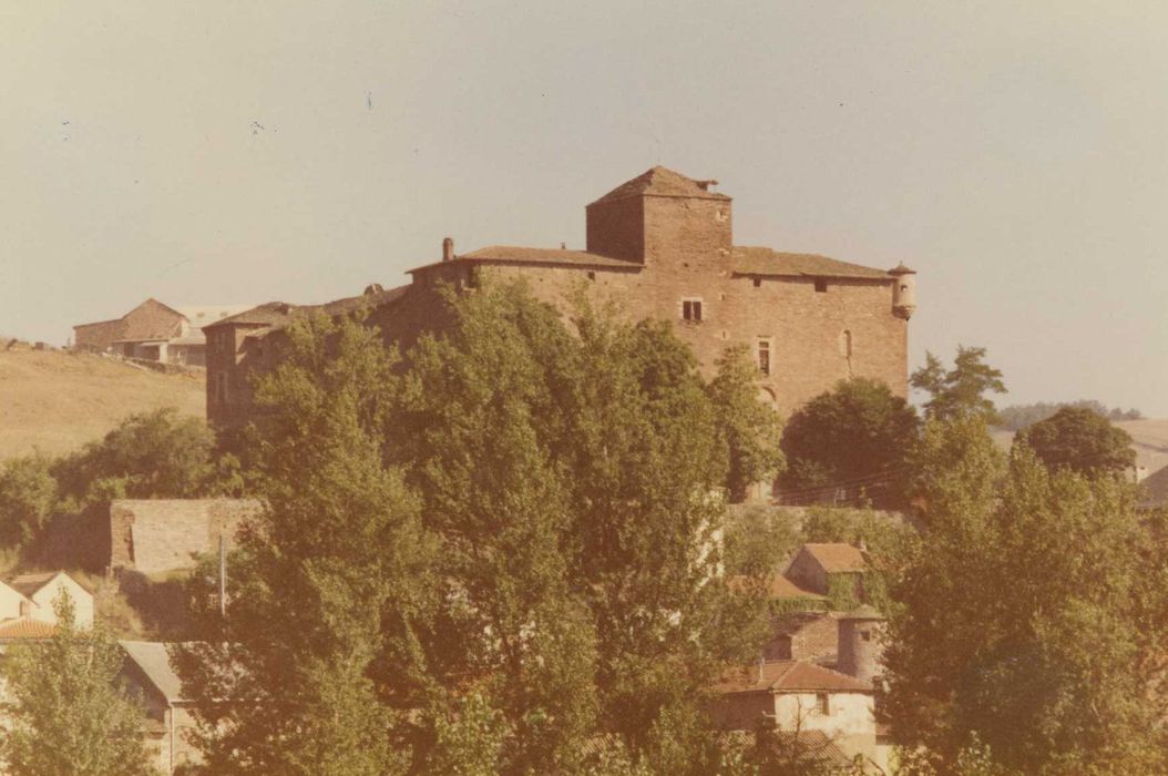 vue partielle du château dans son environnement depuis le Sud