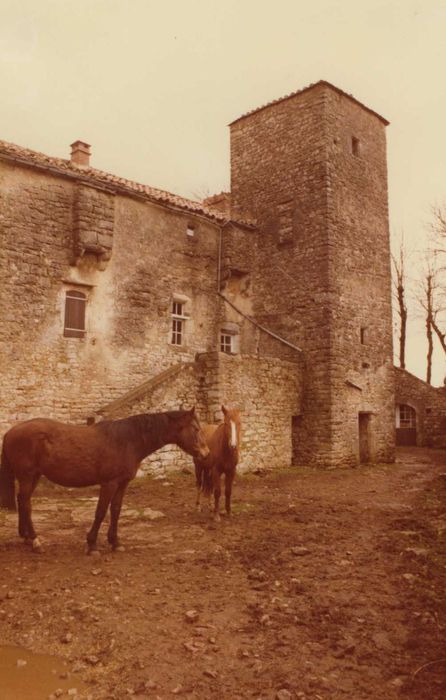 grange hospitalière, façade sud-ouest, vue partielle