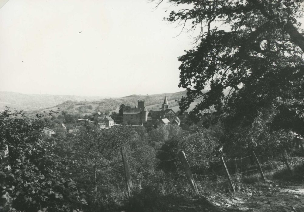 vue générale du château dans son environnement depuis l’Ouest