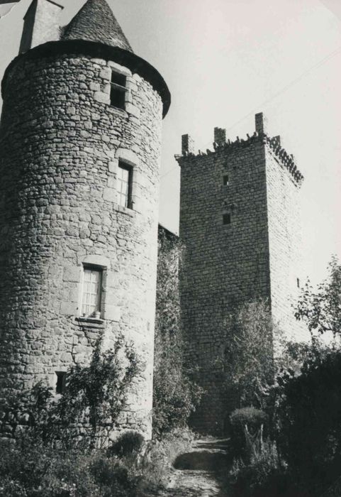 tour sud-ouest et élévations sud et ouest du donjon