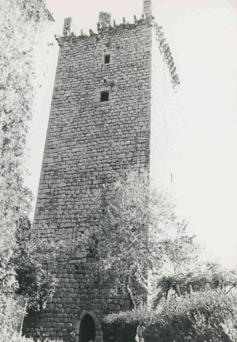 donjon, élévation ouest