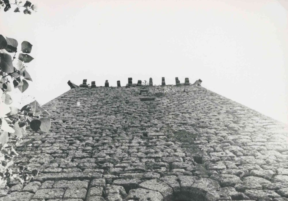 donjon, élévation ouest, vue partielle