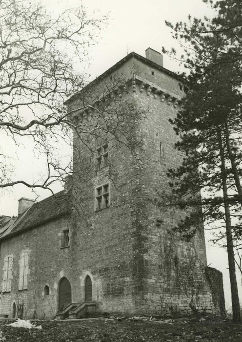 donjon, élévation sud et ouest