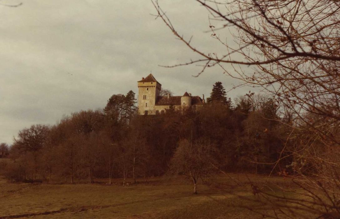 vue générale du château dans son environnement depuis l’Est