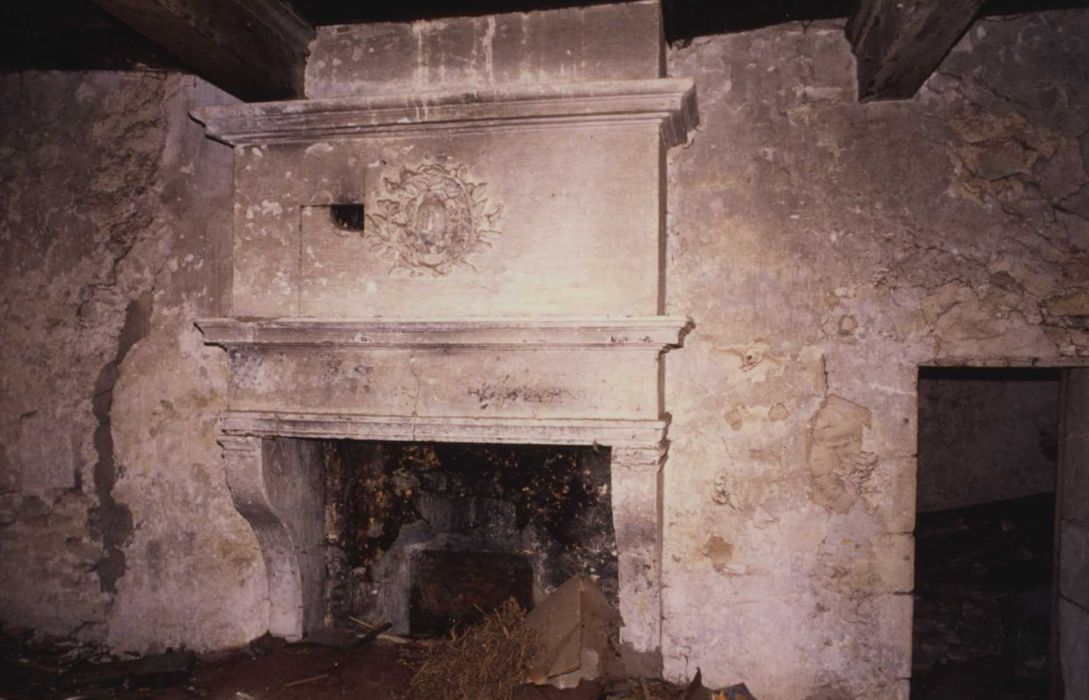 tour-porche, 1er étage, cheminée monumentale