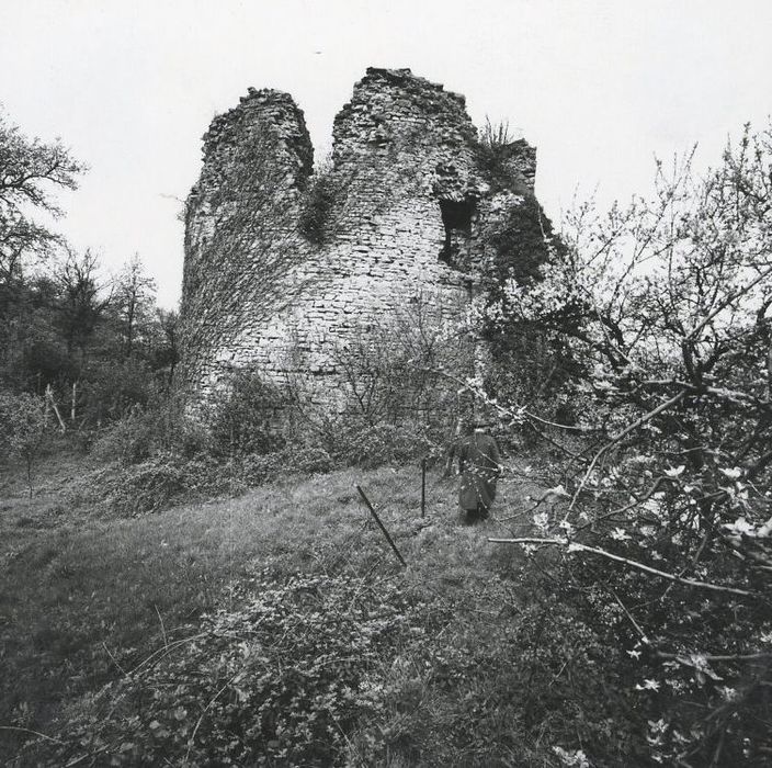 vue partielle des ruines