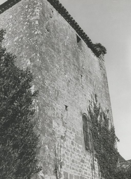 façade latérale sud, vue partielle