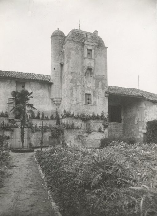 vue générale de la tour sur le chemin de Clérac à Sillac