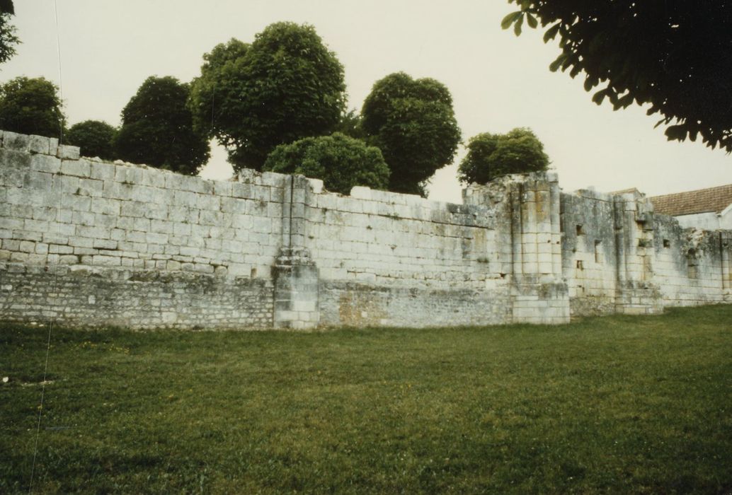 Vue partielle des ruines, mur gouttereau nord