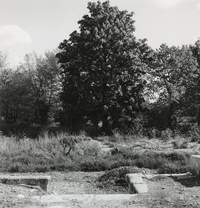 parc, vue partielle