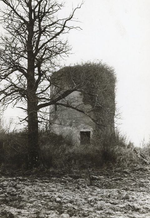 vue générale du moulin