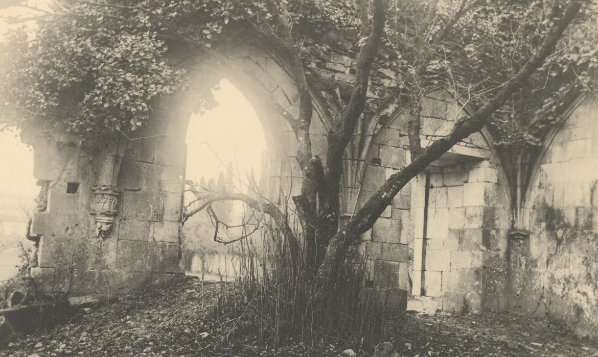 cloître ruiné, vue partielle