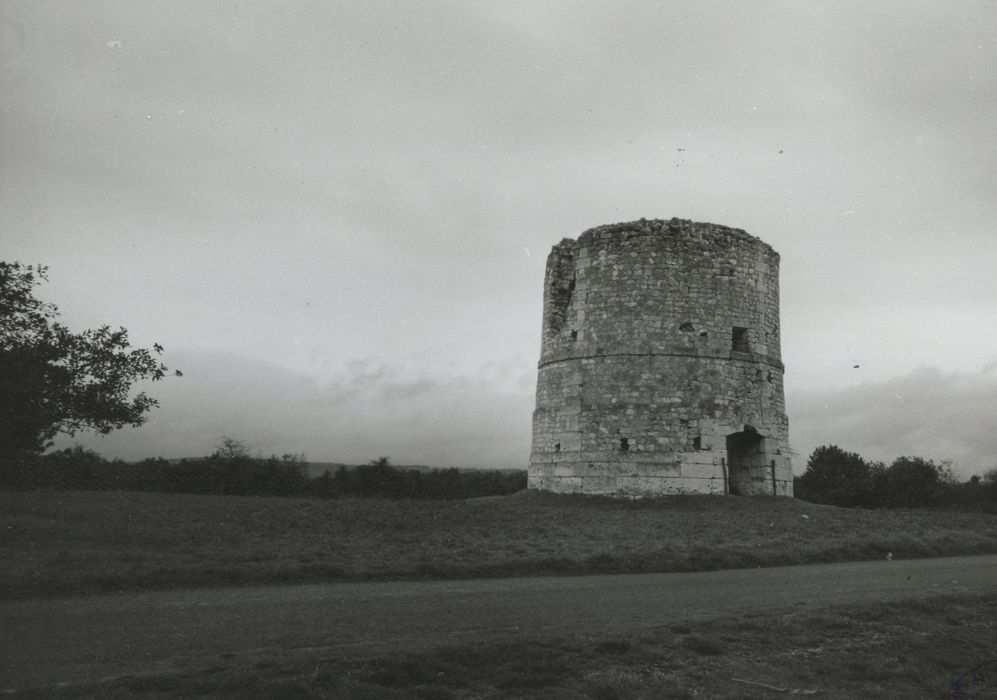 vue générale du moulin dans son environnement depuis le Sud