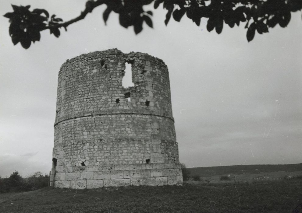 vue générale du moulin dans son environnement depuis l’Ouest