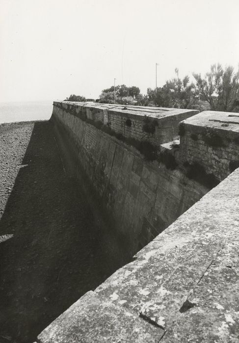 front de mer crénelé