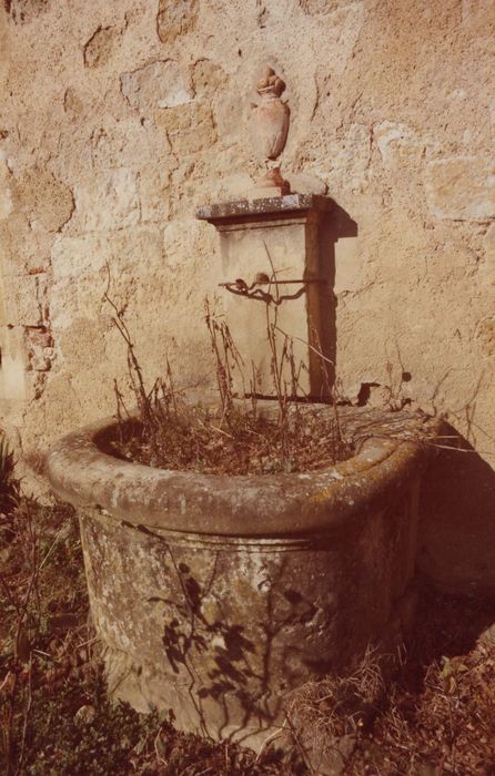 façade sud, détail de la fontaine