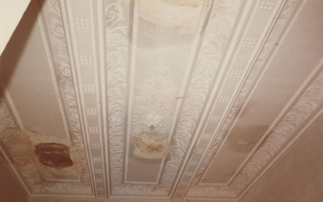 petit salon, détail du plafond