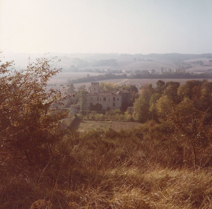 vue générale du château dans son environnement depuis l’Est