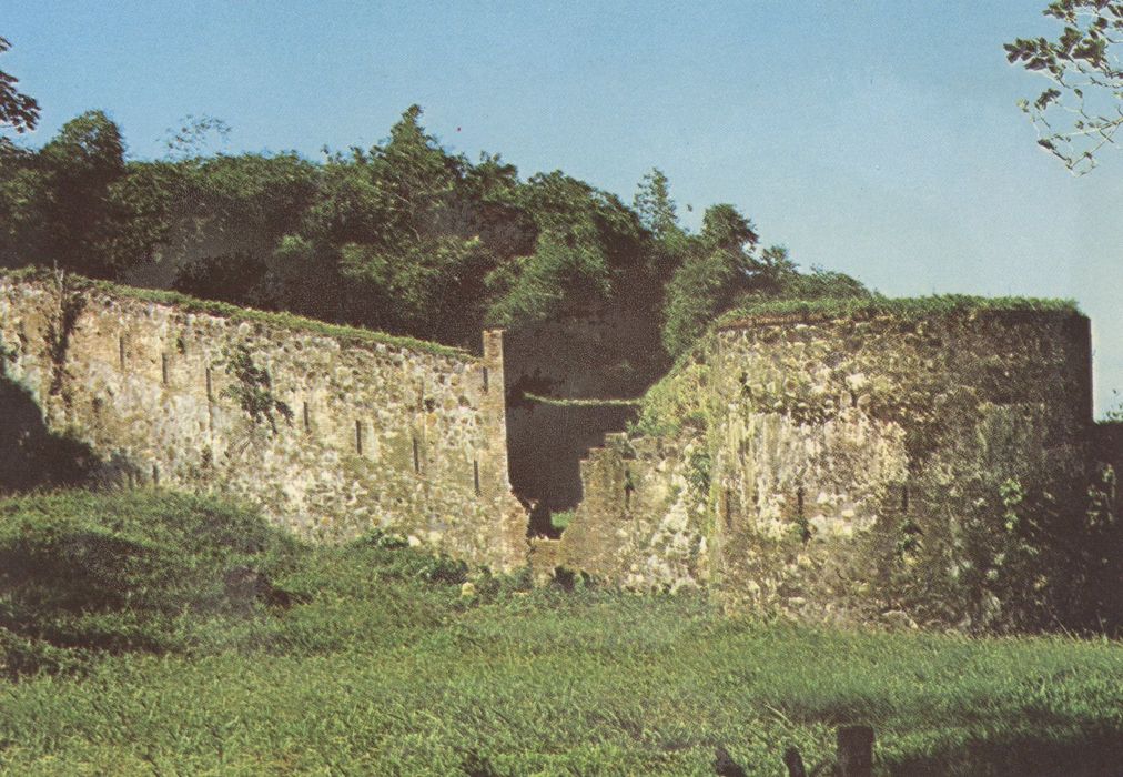 vue générale du fort dans son environnement