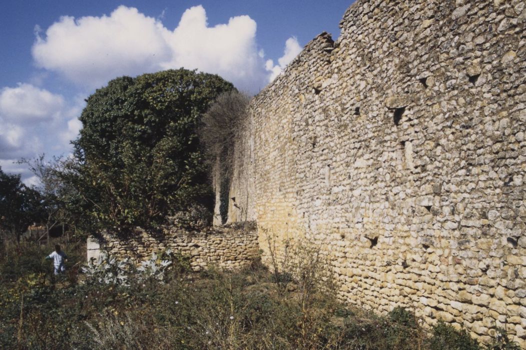 mur d’enceinte sud, vue partielle