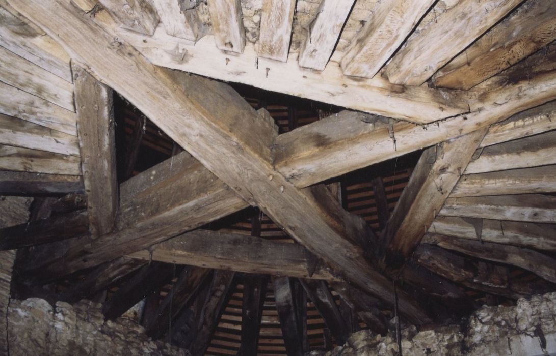 tour sud-ouest, vue partielle de la charpente