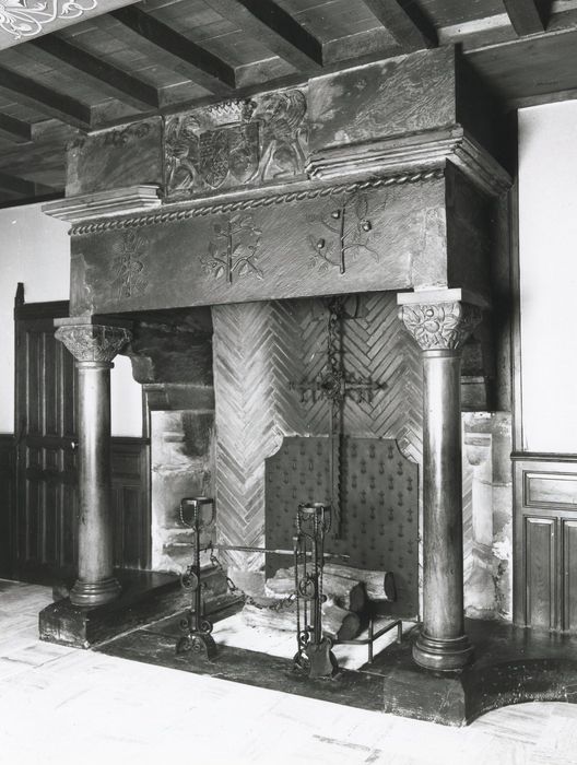 salle à manger, cheminée monumentale