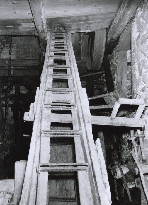 échelle de transport des pommes de terre jusqu’à la machine à broyer