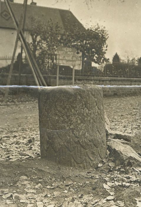 vue générale du fragment de la colonne