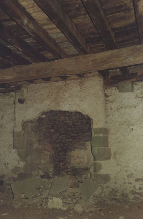 rez-de-chaussée, salle de gauche, cheminée monumentale