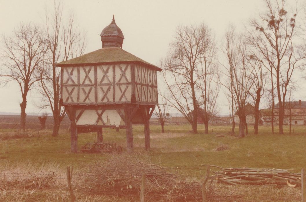 vue générale du colombier dans son environnement