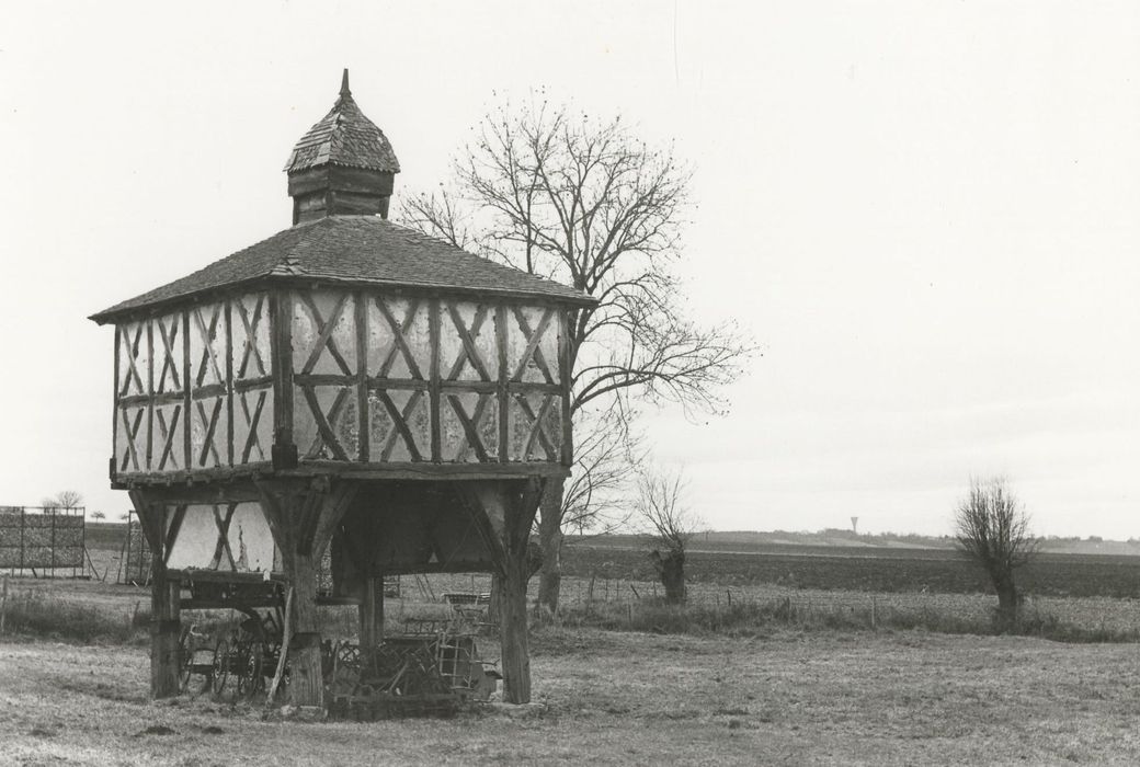 vue générale du colombier dans son environnement