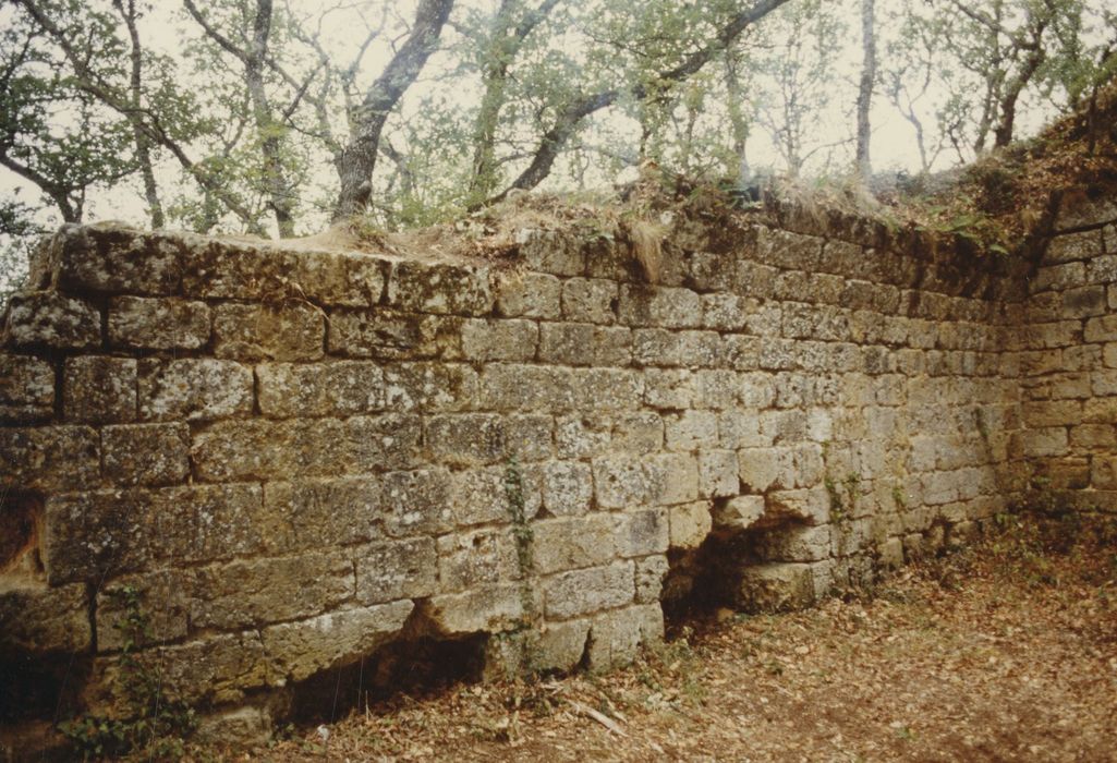 1er étage, vue partielle des ruines de la grande salle