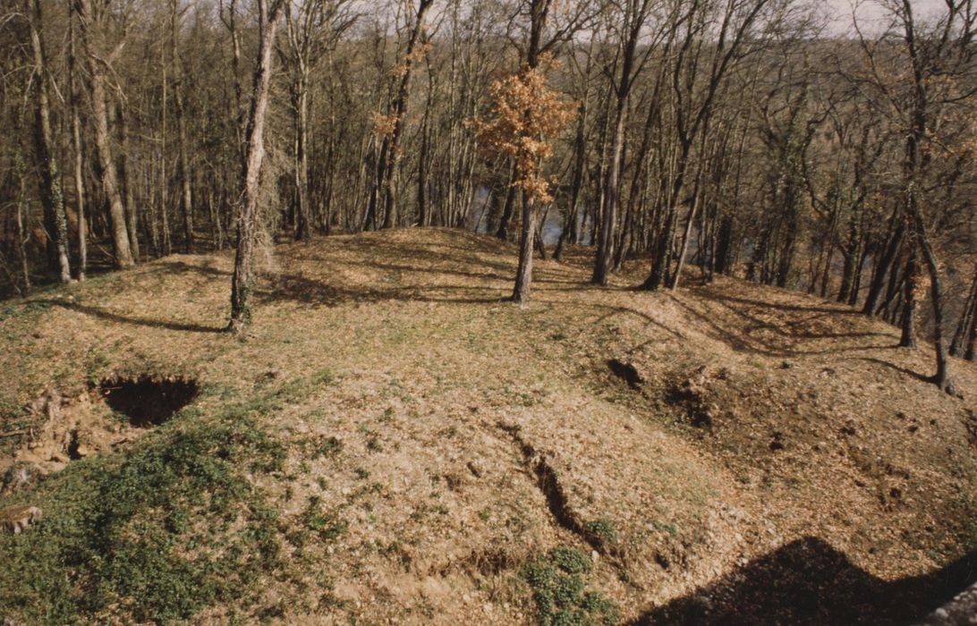 site supposé du château primitif au nord