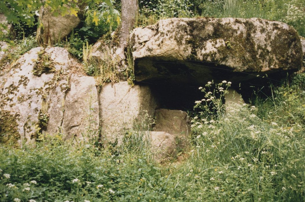 parc, abri sous roche