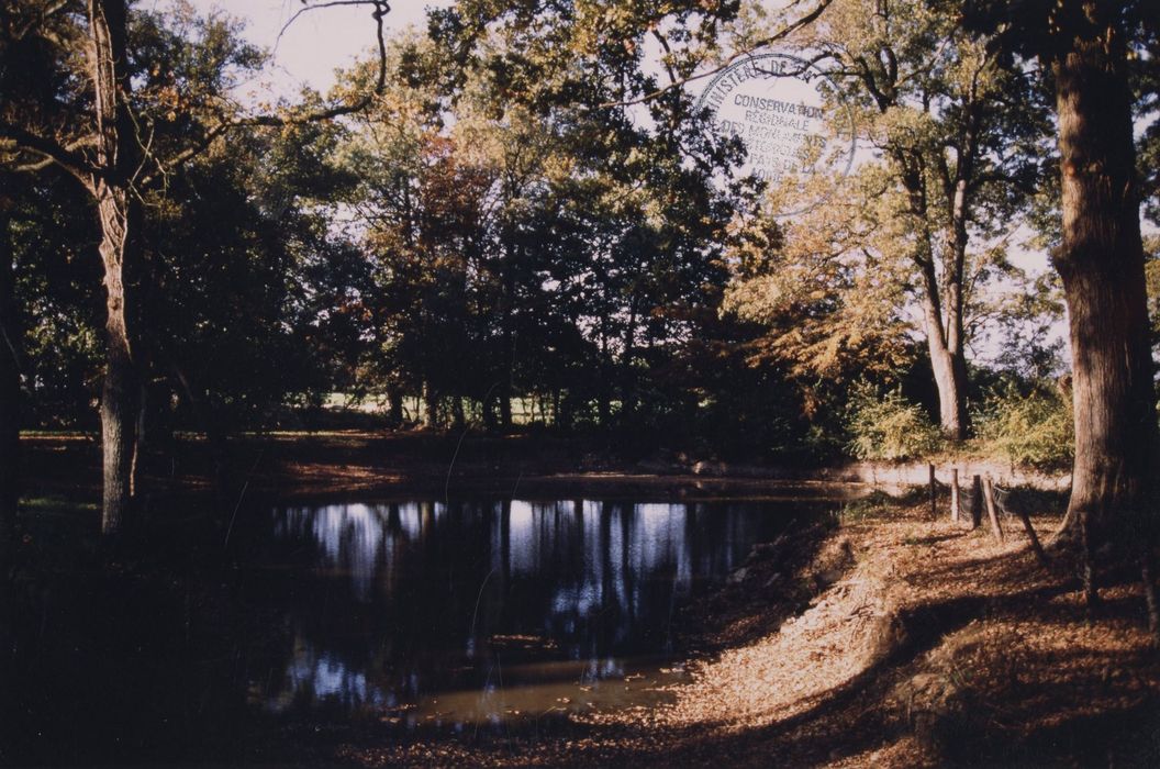 parc, étang artificiel