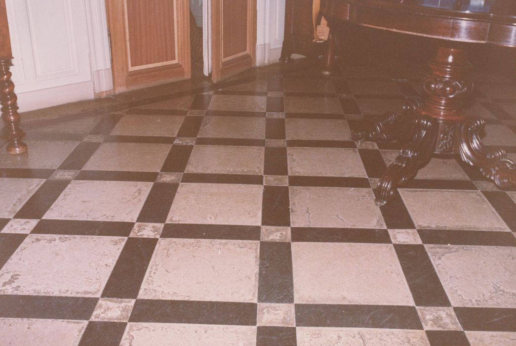 rez-de-chaussée, vestibule antérieur, détail du pavement