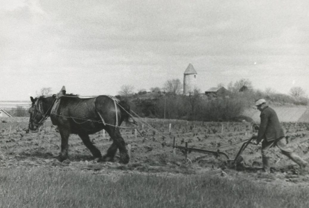 vue générale du moulin dans son environnement