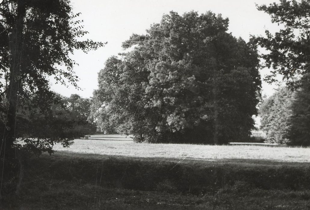 parc, vue partielle